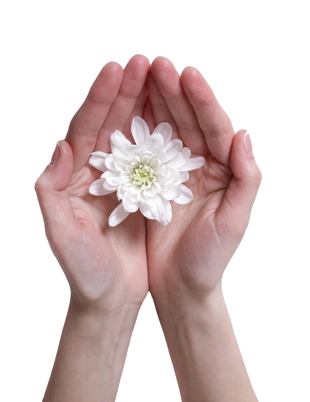 Reiki Course Surat